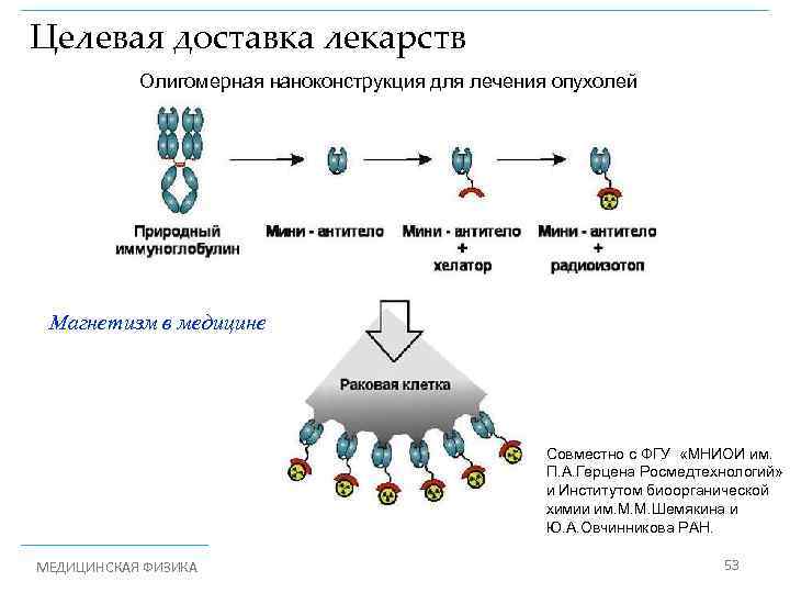 Целевая доставка лекарств Олигомерная наноконструкция для лечения опухолей Магнетизм в медицине Совместно с ФГУ
