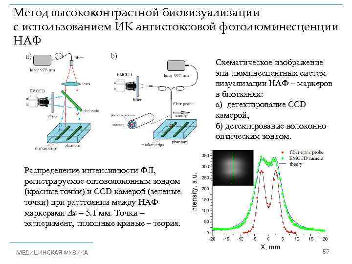 Метод высококонтрастной биовизуализации с использованием ИК антистоксовой фотолюминесценции НАФ Схематическое изображение эпи-люминесцентных систем визуализации
