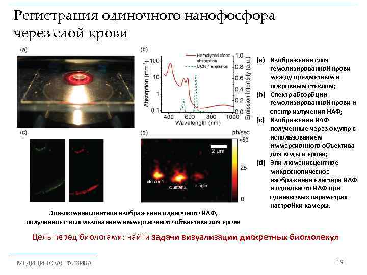 Регистрация одиночного нанофосфора через слой крови Эпи-люменисцентное изображение одиночного НАФ, полученное с использованием иммерсионного