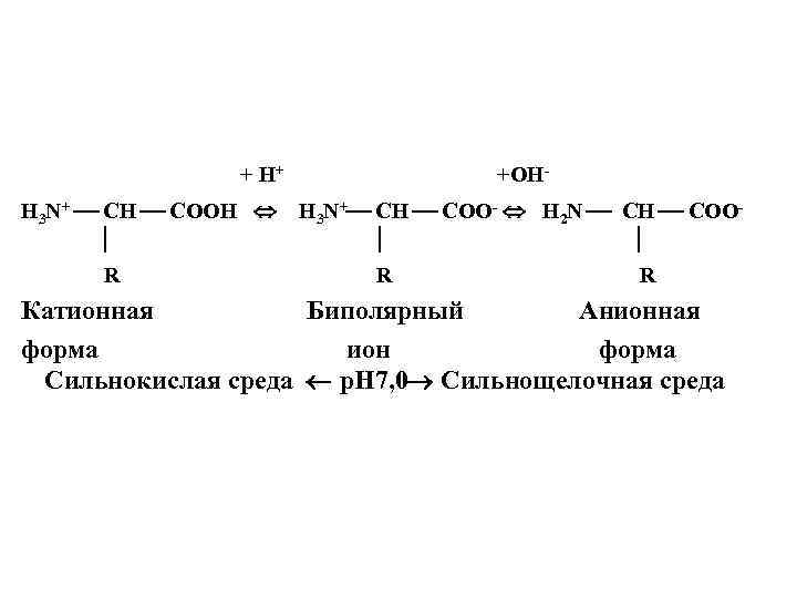 + H+ H 3 N+ CH COOH R +ОHH 3 N+ CH COO- H