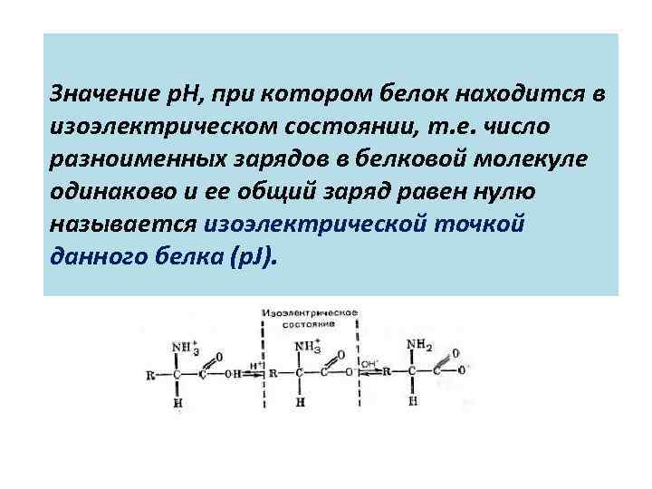 Значение p. H, при котором белок находится в изоэлектрическом состоянии, т. е. число разноименных