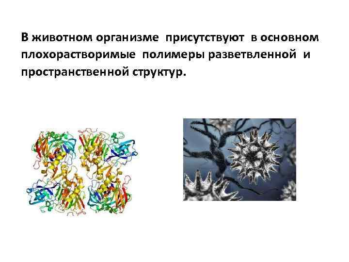В животном организме присутствуют в основном плохорастворимые полимеры разветвленной и пространственной структур. 