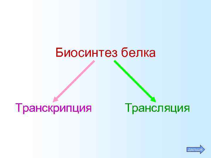 Биосинтез белка Транскрипция Трансляция дальше 