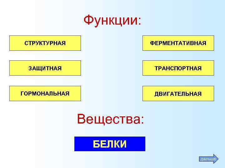 Функции: СТРУКТУРНАЯ ФЕРМЕНТАТИВНАЯ ЗАЩИТНАЯ ТРАНСПОРТНАЯ ГОРМОНАЛЬНАЯ ДВИГАТЕЛЬНАЯ Вещества: БЕЛКИ дальше 