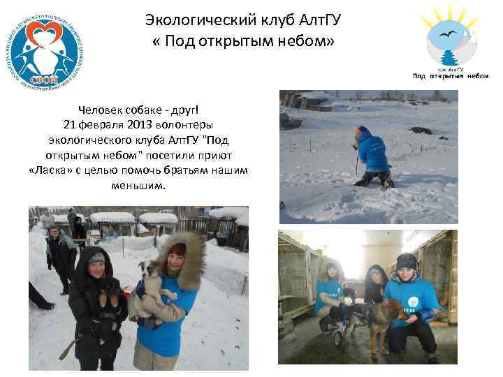 Экологический клуб Алт. ГУ « Под открытым небом» Человек собаке - друг! 21 февраля