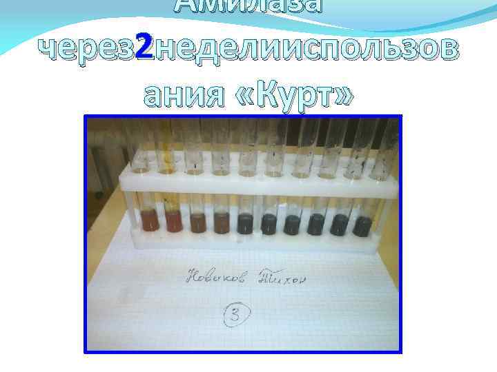 Амилаза через 2 неделииспользов ания «Курт» 