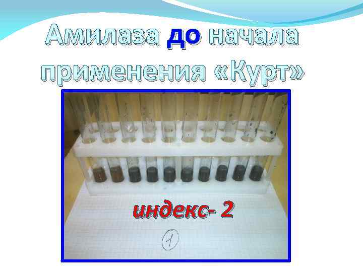 Амилаза до начала применения «Курт» индекс- 2 