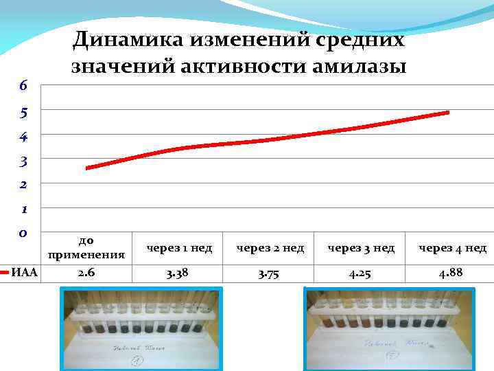 6 Динамика изменений средних значений активности амилазы 5 4 3 2 1 0 до