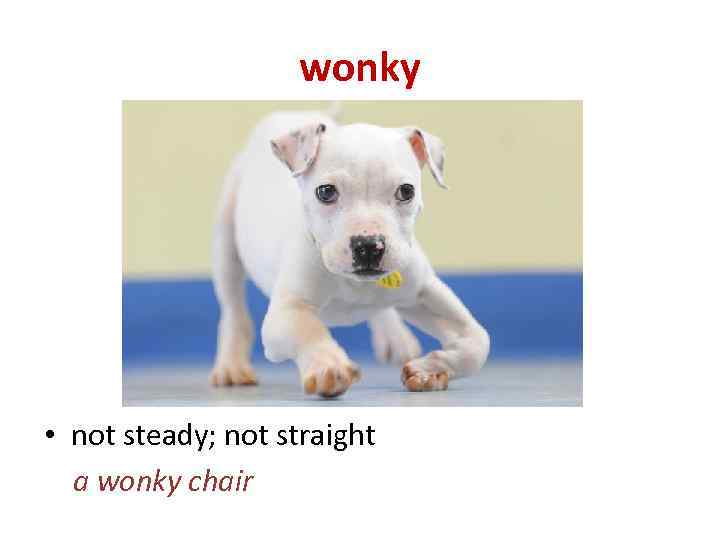 wonky • not steady; not straight a wonky chair 