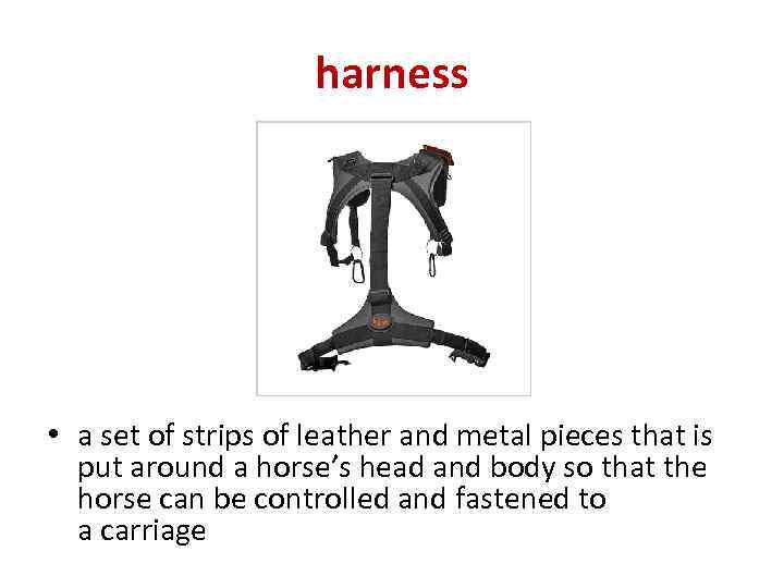 harness • a set of strips of leather and metal pieces that is put