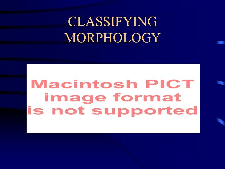 CLASSIFYING MORPHOLOGY 