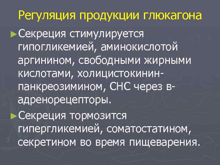 Регуляция продукции глюкагона ►Секреция стимулируется гипогликемией, аминокислотой аргинином, свободными жирными кислотами, холицистокининпанкреозимином, СНС через