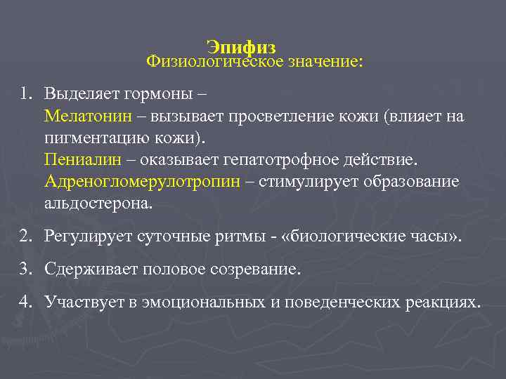 Эпифиз Физиологическое значение: 1. Выделяет гормоны – Мелатонин – вызывает просветление кожи (влияет на