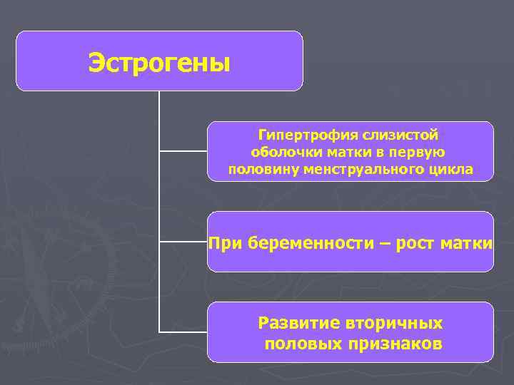 Эстрогены Гипертрофия слизистой оболочки матки в первую половину менструального цикла При беременности – рост