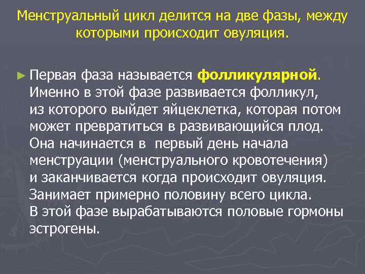 Менструальный цикл делится на две фазы, между которыми происходит овуляция. ► Первая фаза называется