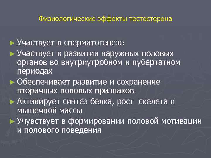 Физиологические эффекты тестостерона ► Участвует в сперматогенезе ► Участвует в развитии наружных половых органов