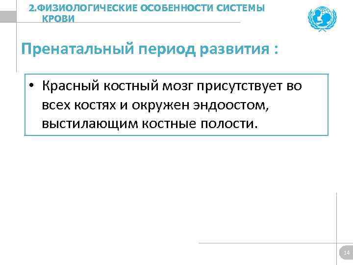 2. ФИЗИОЛОГИЧЕСКИЕ ОСОБЕННОСТИ СИСТЕМЫ КРОВИ Пренатальный период развития : • Красный костный мозг присутствует