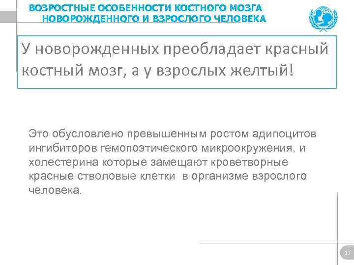 ВОЗРОСТНЫЕ ОСОБЕННОСТИ КОСТНОГО МОЗГА НОВОРОЖДЕННОГО И ВЗРОСЛОГО ЧЕЛОВЕКА У новорожденных преобладает красный костный мозг,