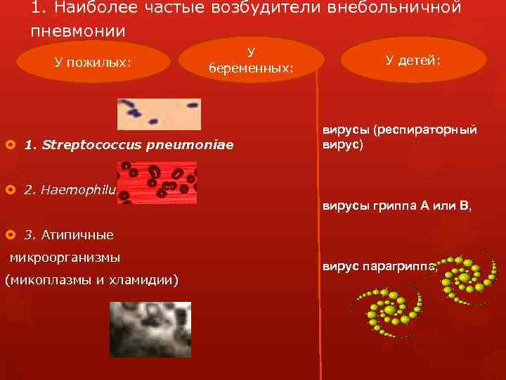 1. Наиболее частые возбудители внебольничной пневмонии У пожилых: У беременных: 1. Streptococcus pneumoniae У