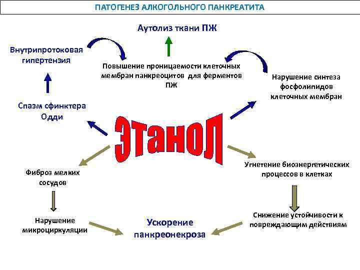 ПАТОГЕНЕЗ АЛКОГОЛЬНОГО ПАНКРЕАТИТА Аутолиз ткани ПЖ Внутрипротоковая гипертензия Повышение проницаемости клеточных мембран панкреоцитов для