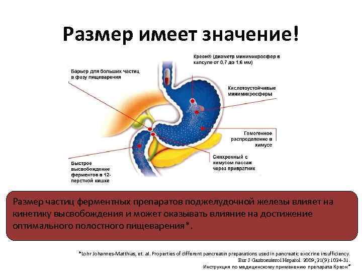 Лечение гастрита и панкреатита одновременно схема лечения