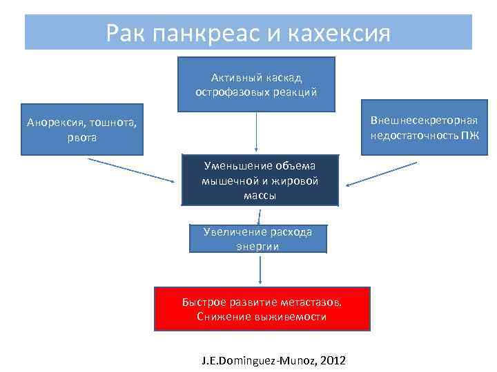 Рак панкреас и кахексия Активный каскад острофазовых реакций Внешнесекреторная недостаточность ПЖ Анорексия, тошнота, рвота