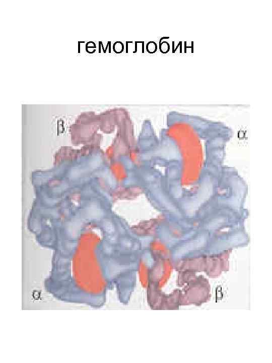 гемоглобин 