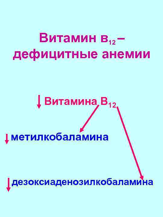 Витамин в 12 – дефицитные анемии Витамина В 12 метилкобаламина дезоксиаденозилкобаламина 