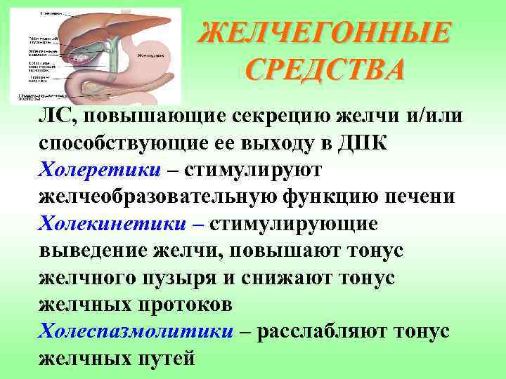 ЖЕЛЧЕГОННЫЕ СРЕДСТВА ЛС, повышающие секрецию желчи и/или способствующие ее выходу в ДПК Холеретики –