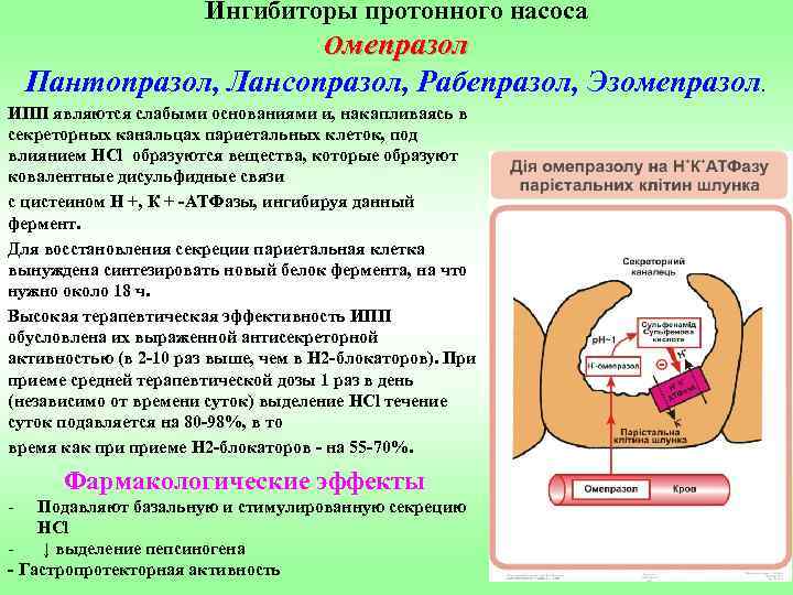 Ингибиторы протонного насоса Омепразол Пантопразол, Лансопразол, Рабепразол, Эзомепразол. ИПП являются слабыми основаниями и, накапливаясь