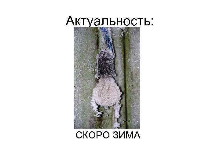 Актуальность: СКОРО ЗИМА 