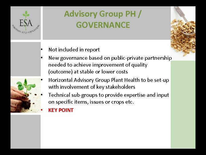 Advisory Group PH / GOVERNANCE • Not included in report • New governance based