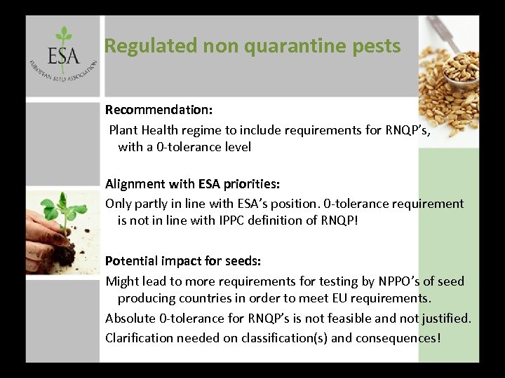 Regulated non quarantine pests Recommendation: Plant Health regime to include requirements for RNQP’s, with
