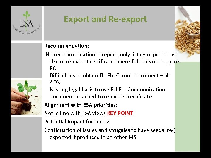 Export and Re-export Recommendation: No recommendation in report, only listing of problems: Use of