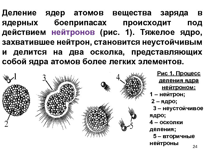  Деление ядер атомов вещества заряда в ядерных боеприпасах происходит под действием нейтронов (рис.