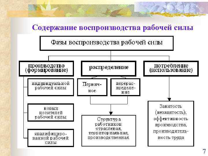 7 изучите принцип свободы труда представьте в виде схемы формы реализации свободы труда в россии