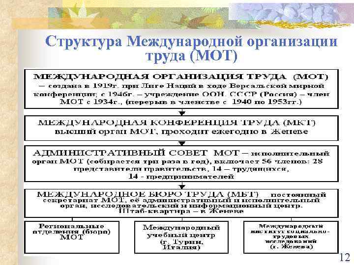 Структура Международной организации труда (МОТ) 12 