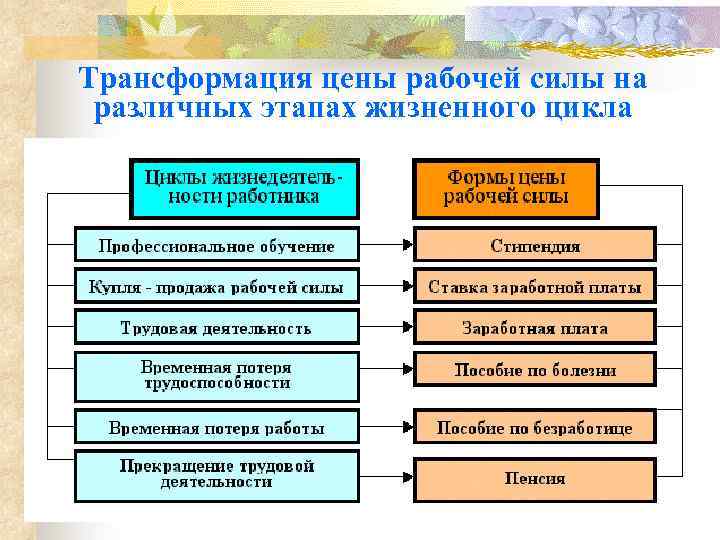 Трансформация цены рабочей силы на различных этапах жизненного цикла 