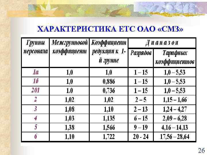 ХАРАКТЕРИСТИКА ЕТС ОАО «СМЗ» 26 