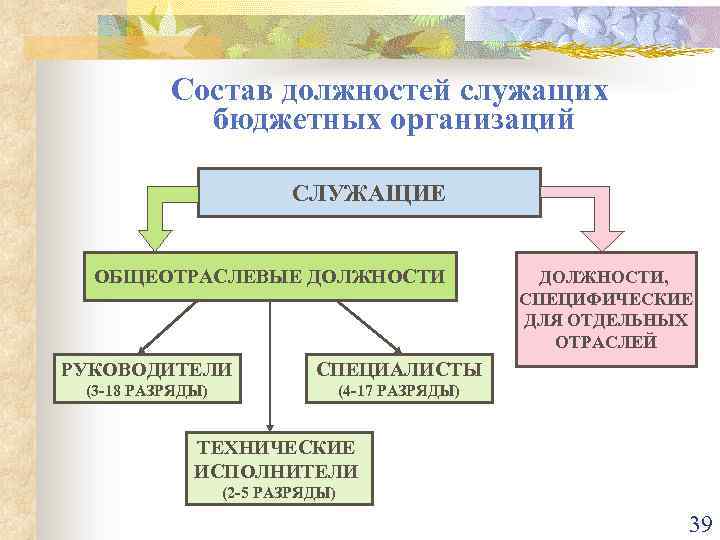 Состав должностей служащих бюджетных организаций СЛУЖАЩИЕ ОБЩЕОТРАСЛЕВЫЕ ДОЛЖНОСТИ РУКОВОДИТЕЛИ СПЕЦИАЛИСТЫ (3 -18 РАЗРЯДЫ) ДОЛЖНОСТИ,