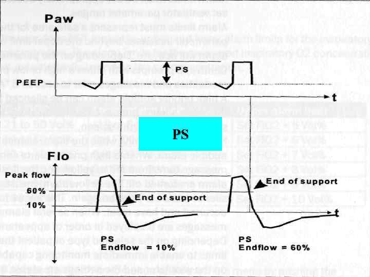 PS 37 