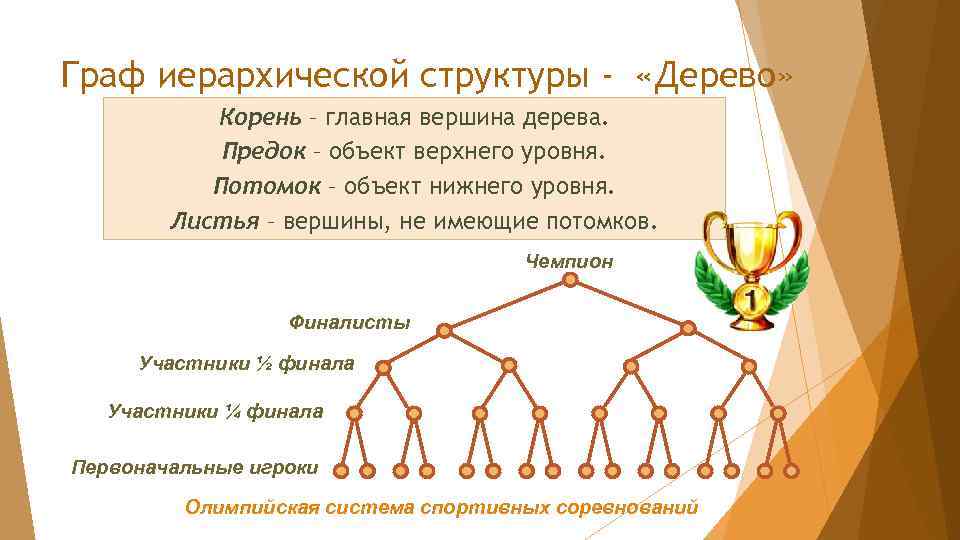 Граф иерархической структуры - «Дерево» Корень – главная вершина дерева. Предок – объект верхнего