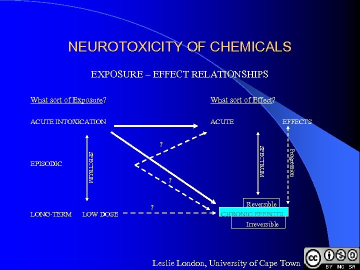 NEUROTOXICITY OF CHEMICALS EXPOSURE – EFFECT RELATIONSHIPS What sort of Exposure? What sort of
