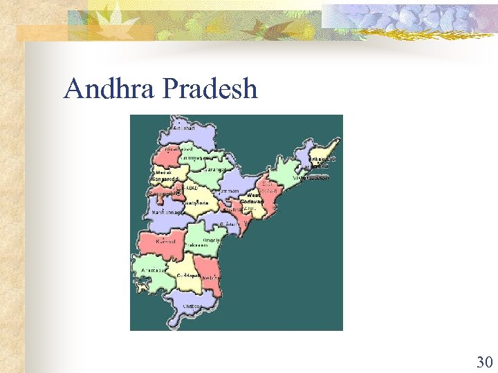 Andhra Pradesh 30 