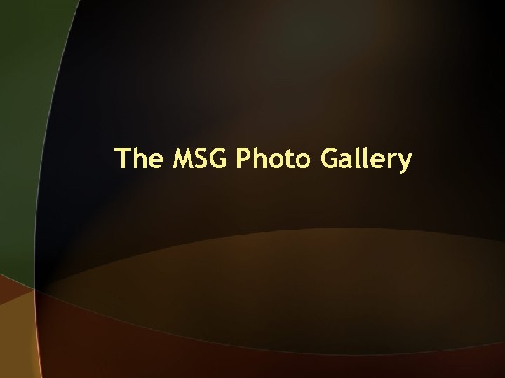 The MSG Photo Gallery 