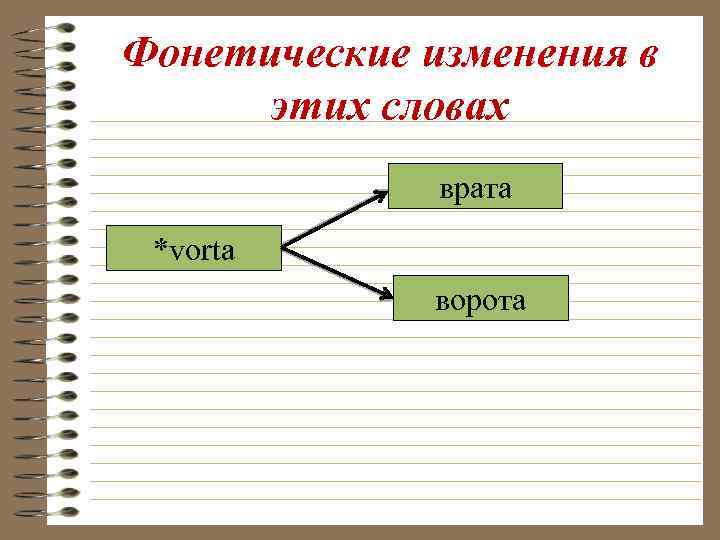 Фонетические изменения в этих словах врата *vorta ворота 