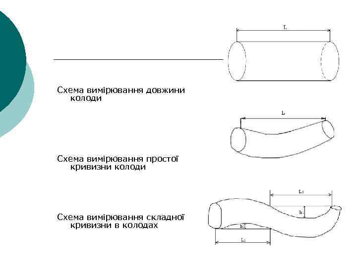 Схема вимірювання довжини колоди Схема вимірювання простої кривизни колоди Схема вимірювання складної кривизни в