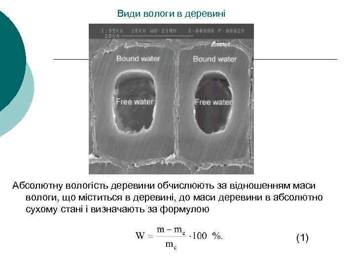 Види вологи в деревині Абсолютну вологість деревини обчислюють за відношенням маси вологи, що міститься