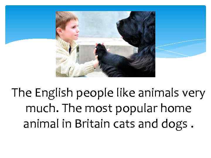 The English people like animals very much. The most popular home animal in Britain