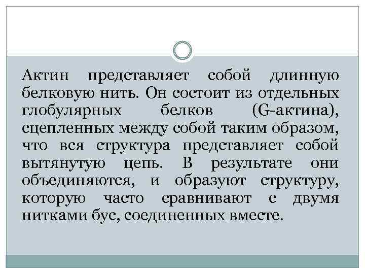 Актин представляет собой длинную белковую нить. Он состоит из отдельных глобулярных белков (G-актина), сцепленных